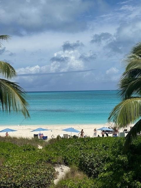 This is the view from the balcony.  Stellar!