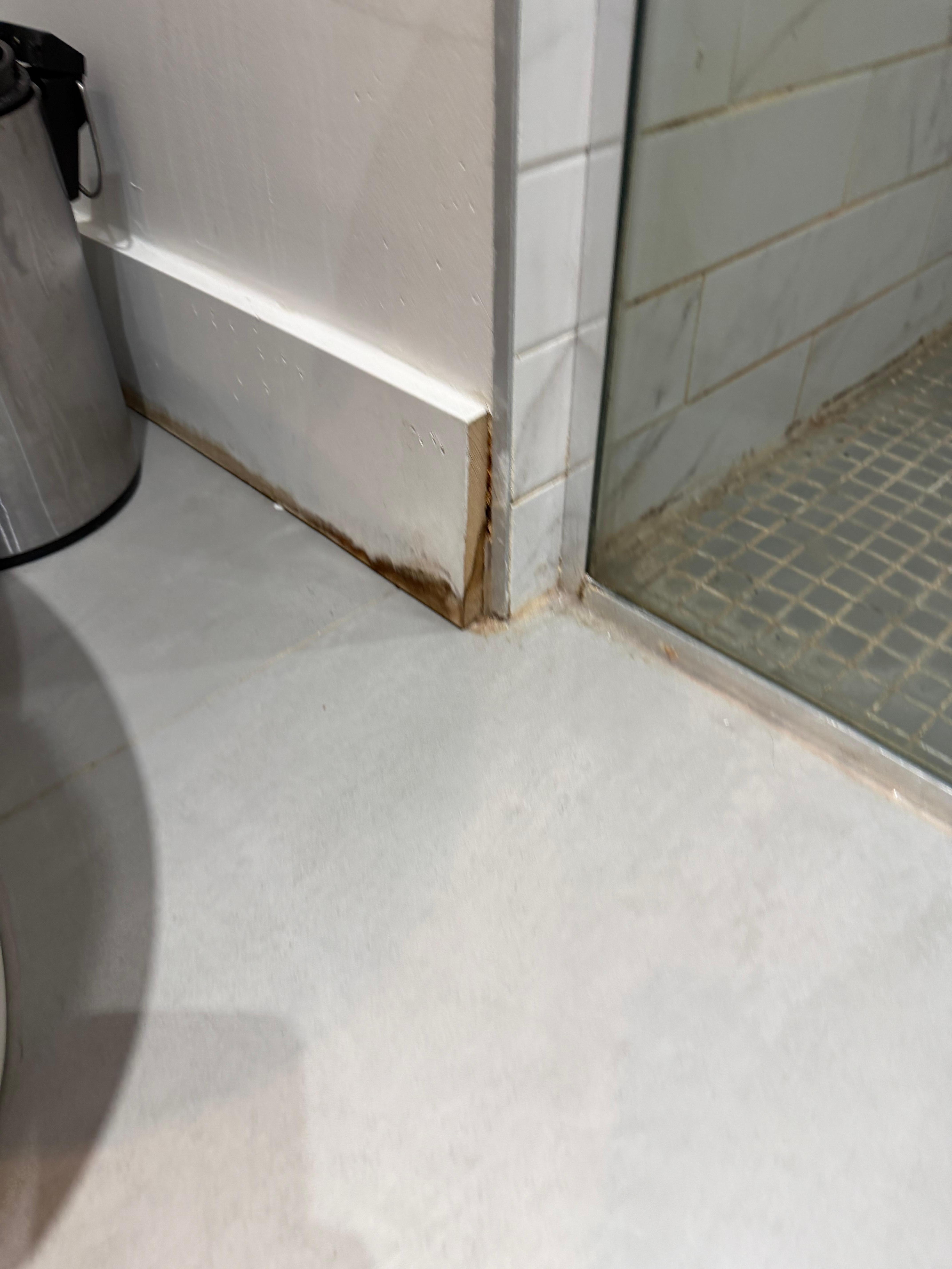 The baseboard is mouldy and rotting. Several others throughout were scuffed and dirty.