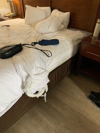This is the way the bed looked when I pull the cover back. This was not the kind of room I expected to have to live in. I spoke with Miss Garcia the manager. I was told that I need to speak with you regarding compensation, having to move out of this