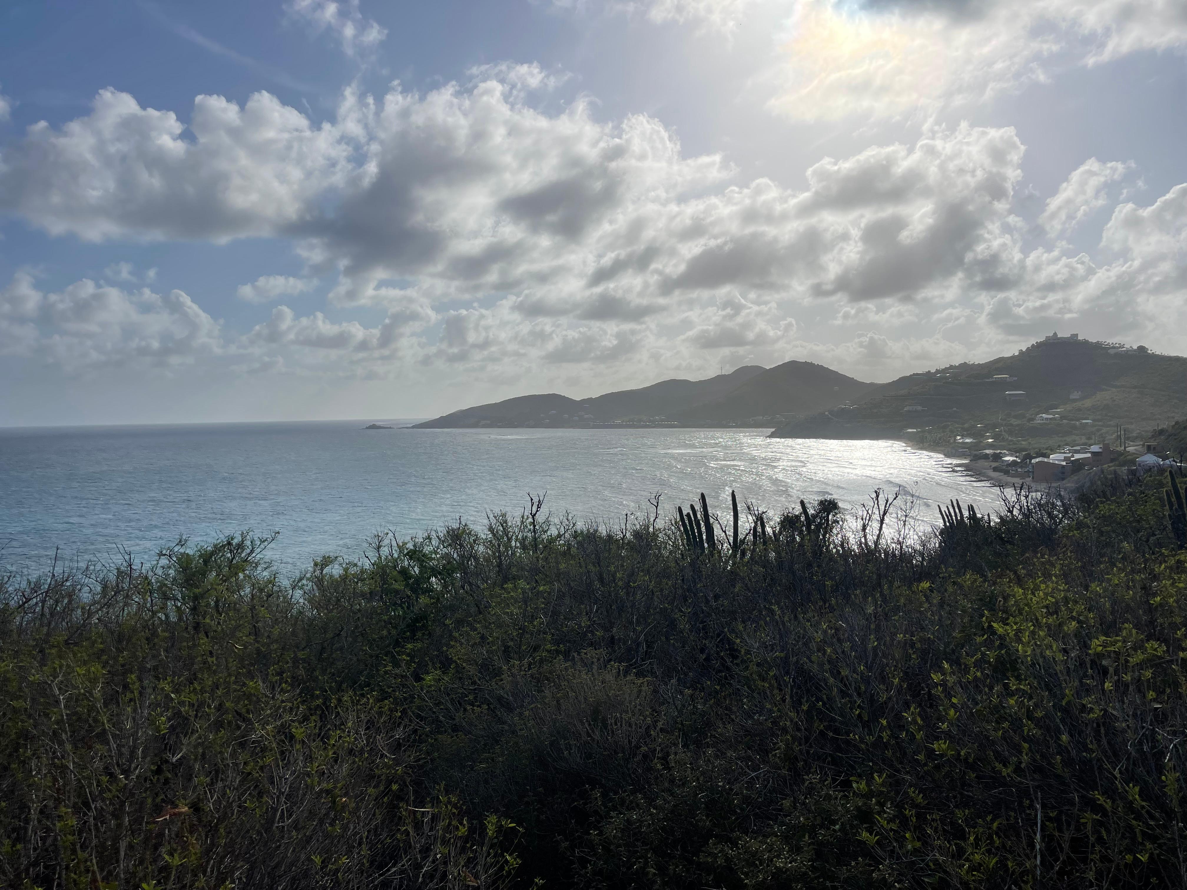 View of Grapetree Bay