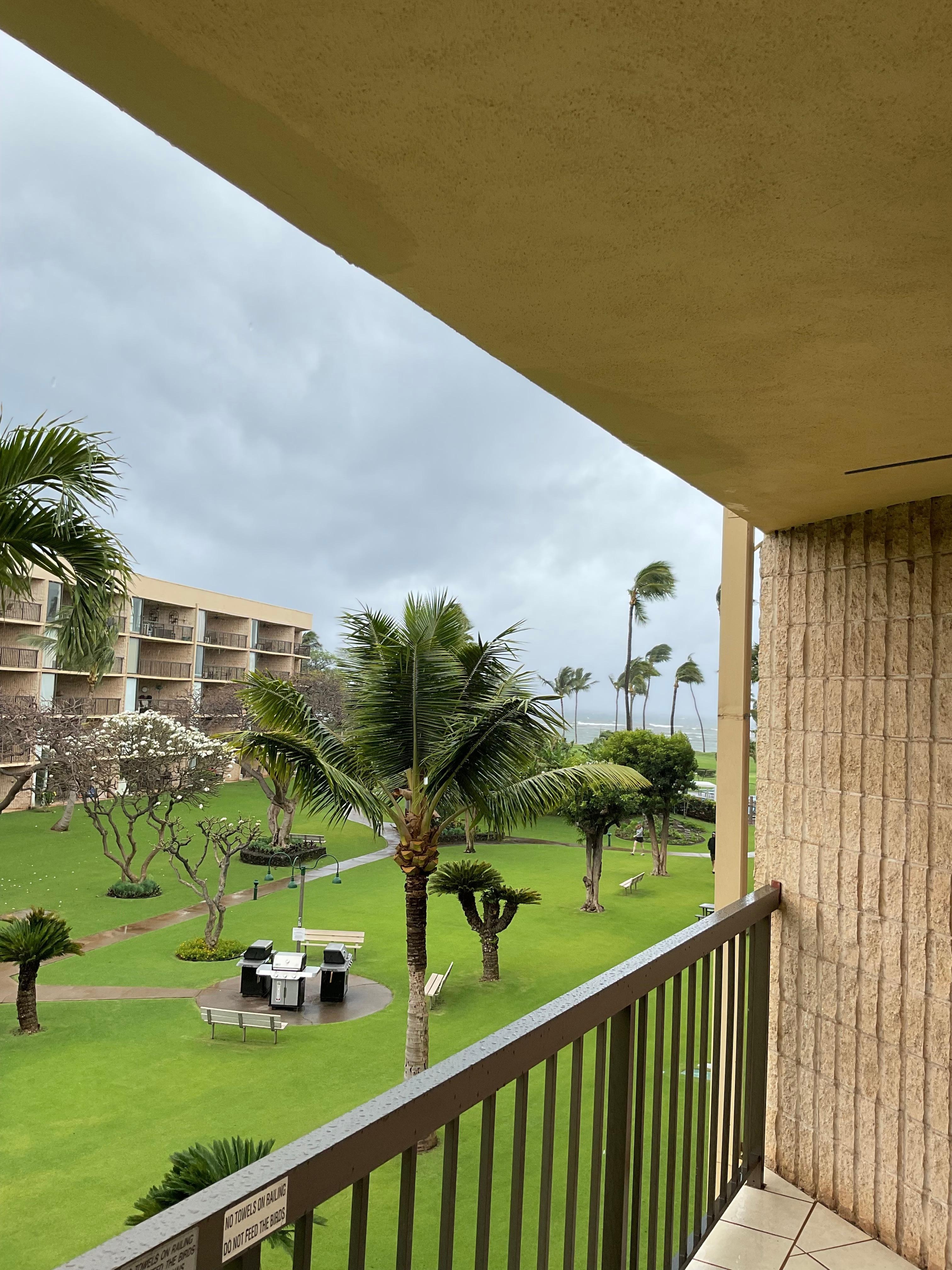 A storm is brewing.  How could we imagine how bad it was going to be?