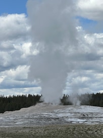 Old faithful