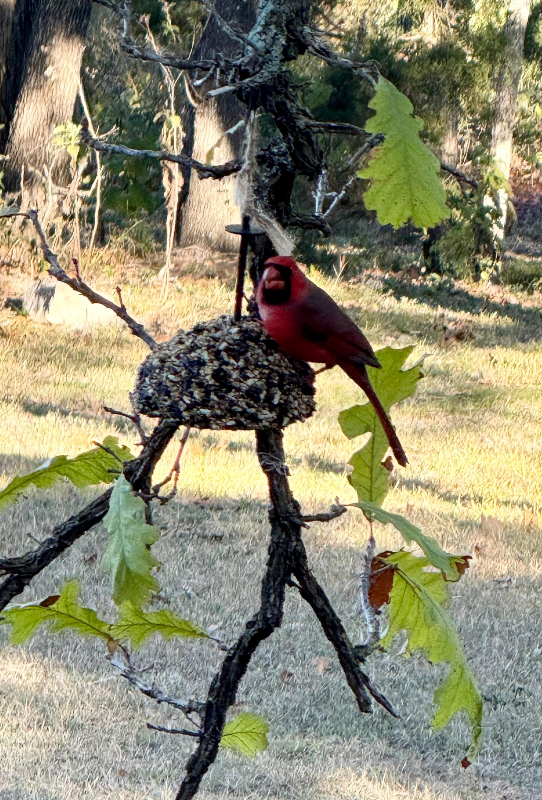 God’s beautiful nature!