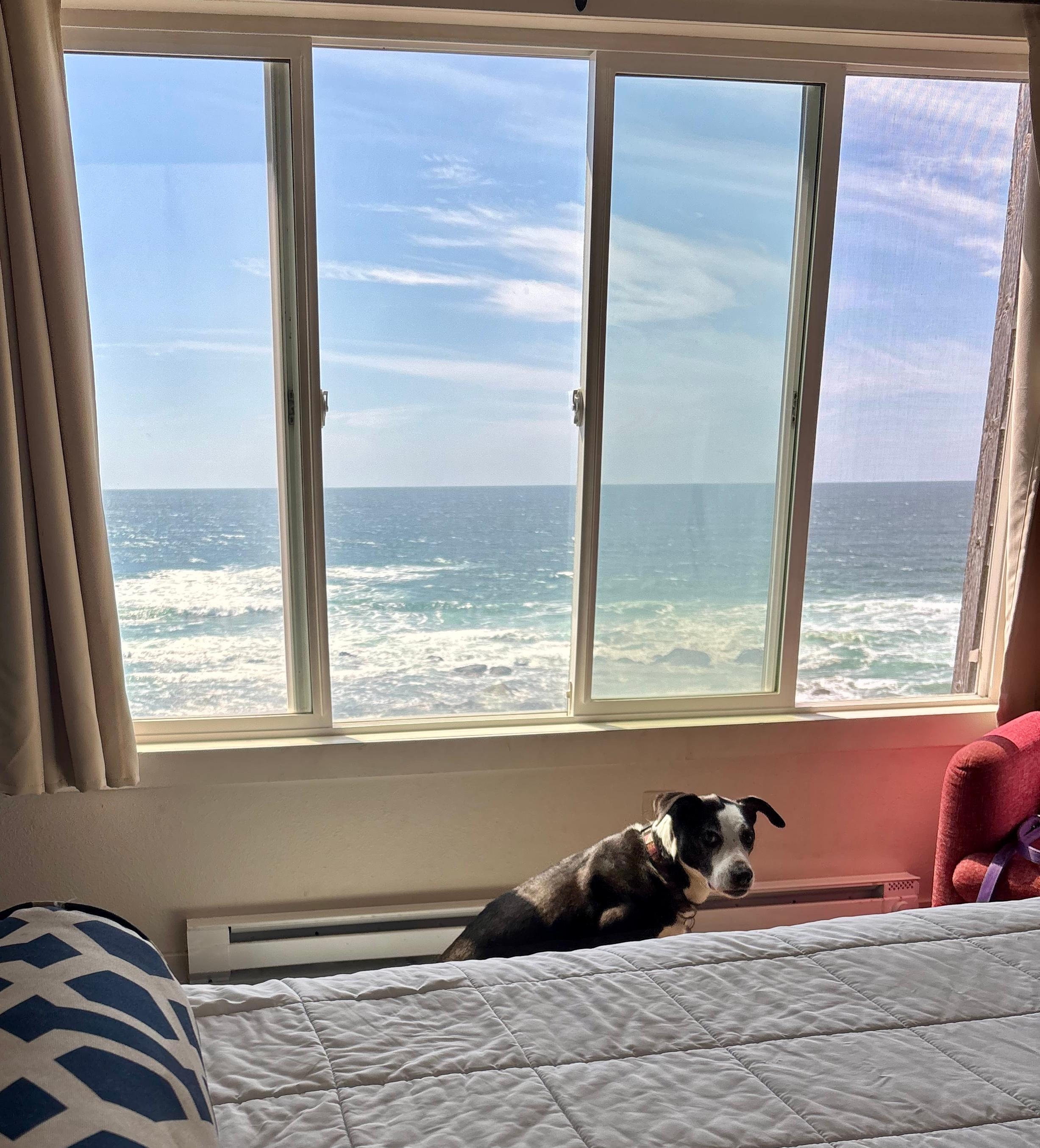 View from the room
