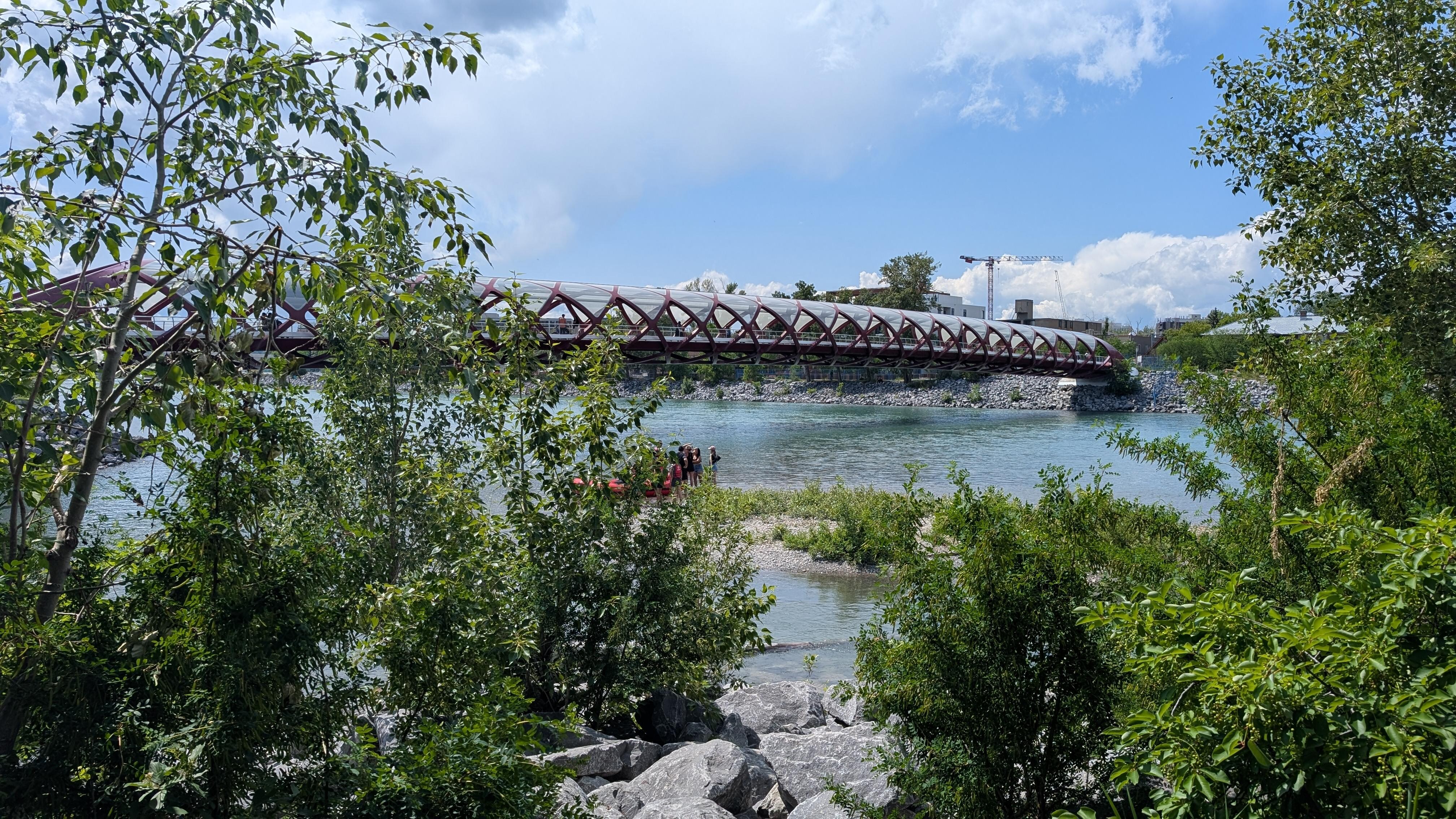 Peace bridge view from Prince's Island Park, 8 minutes bike ride from hotel.