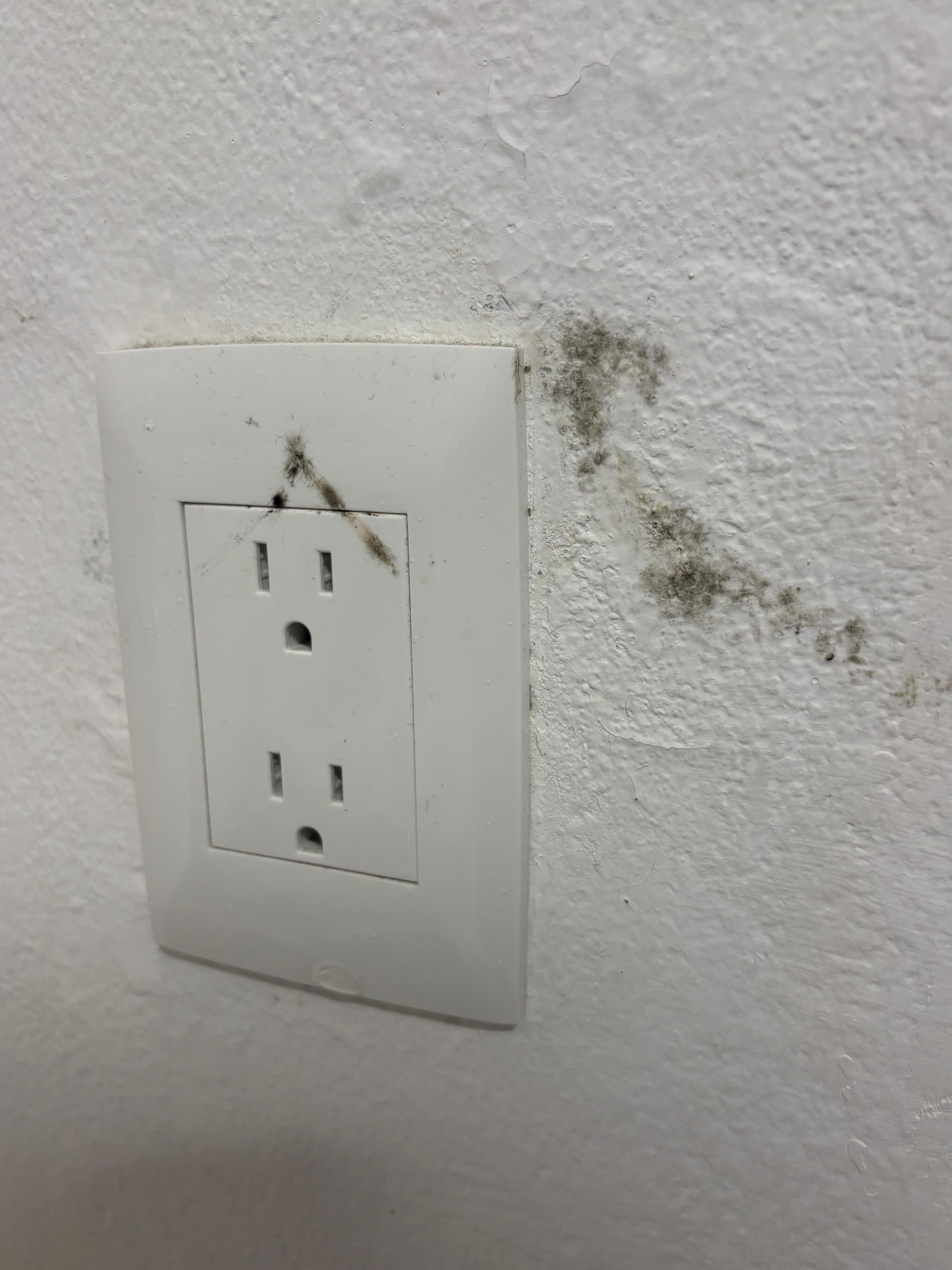 The walls had mold