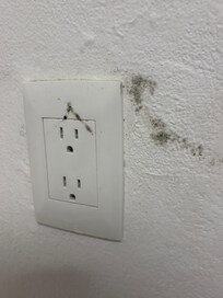 The walls had mold