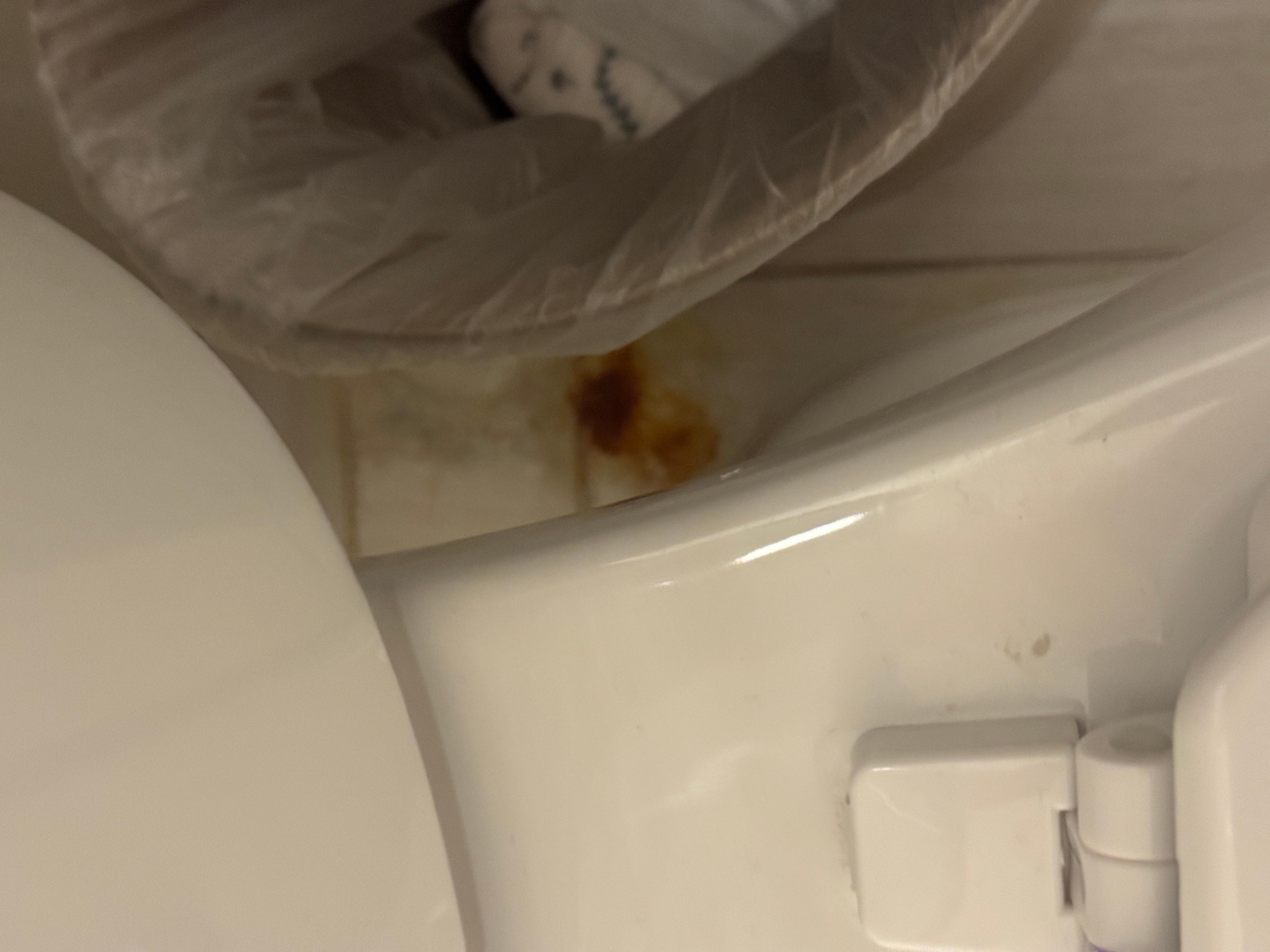 Unkown substance around toilet hidden under trash can