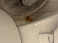 Unkown substance around toilet hidden under trash can