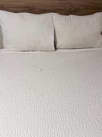 Soiled Linen
