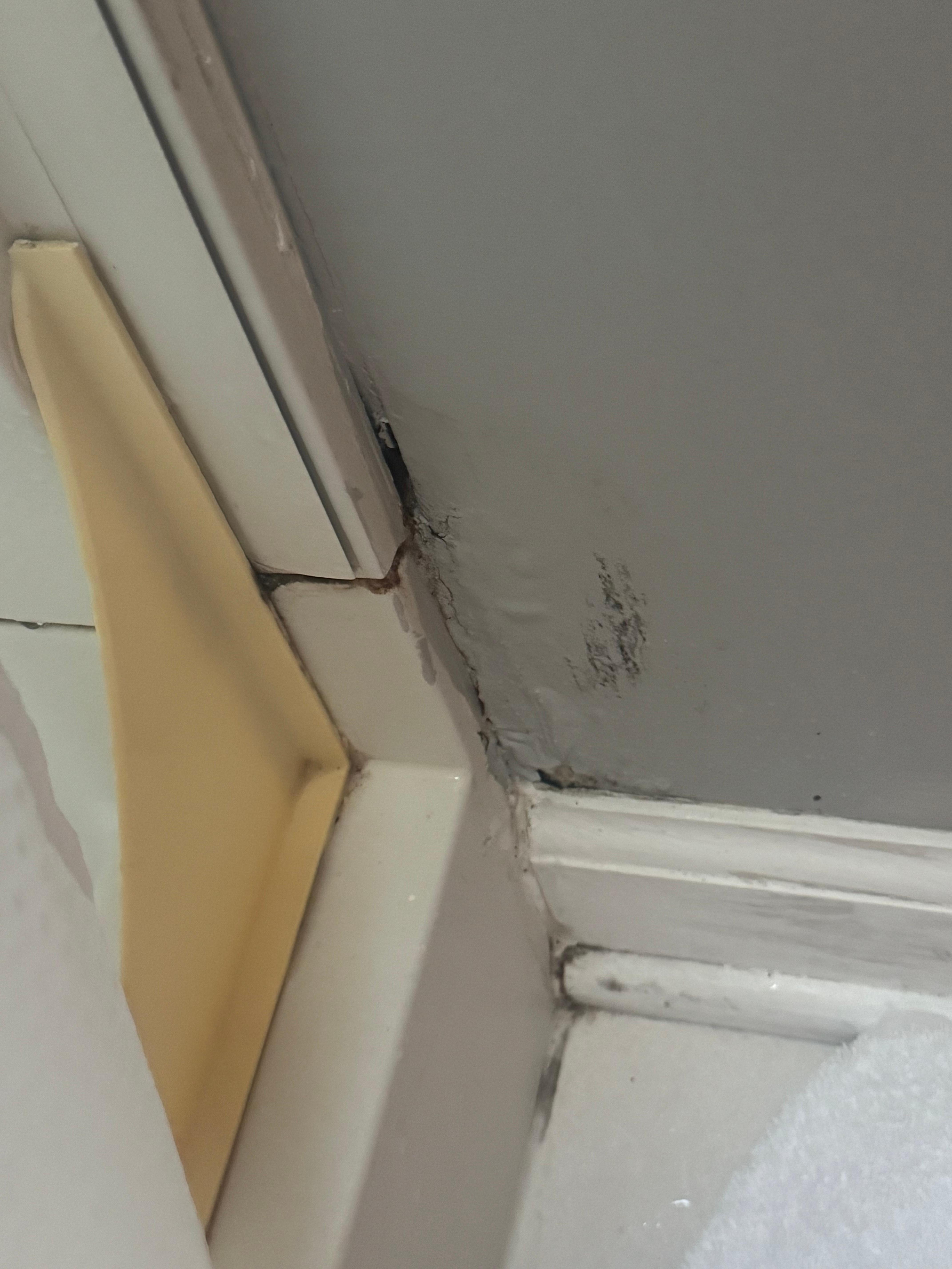 Looks like mold.  All over the shower