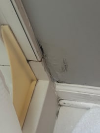 Looks like mold. All over the shower