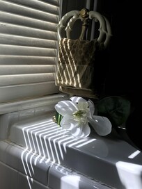 Magnificent Bathroom