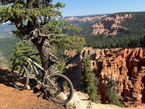 MTB trails