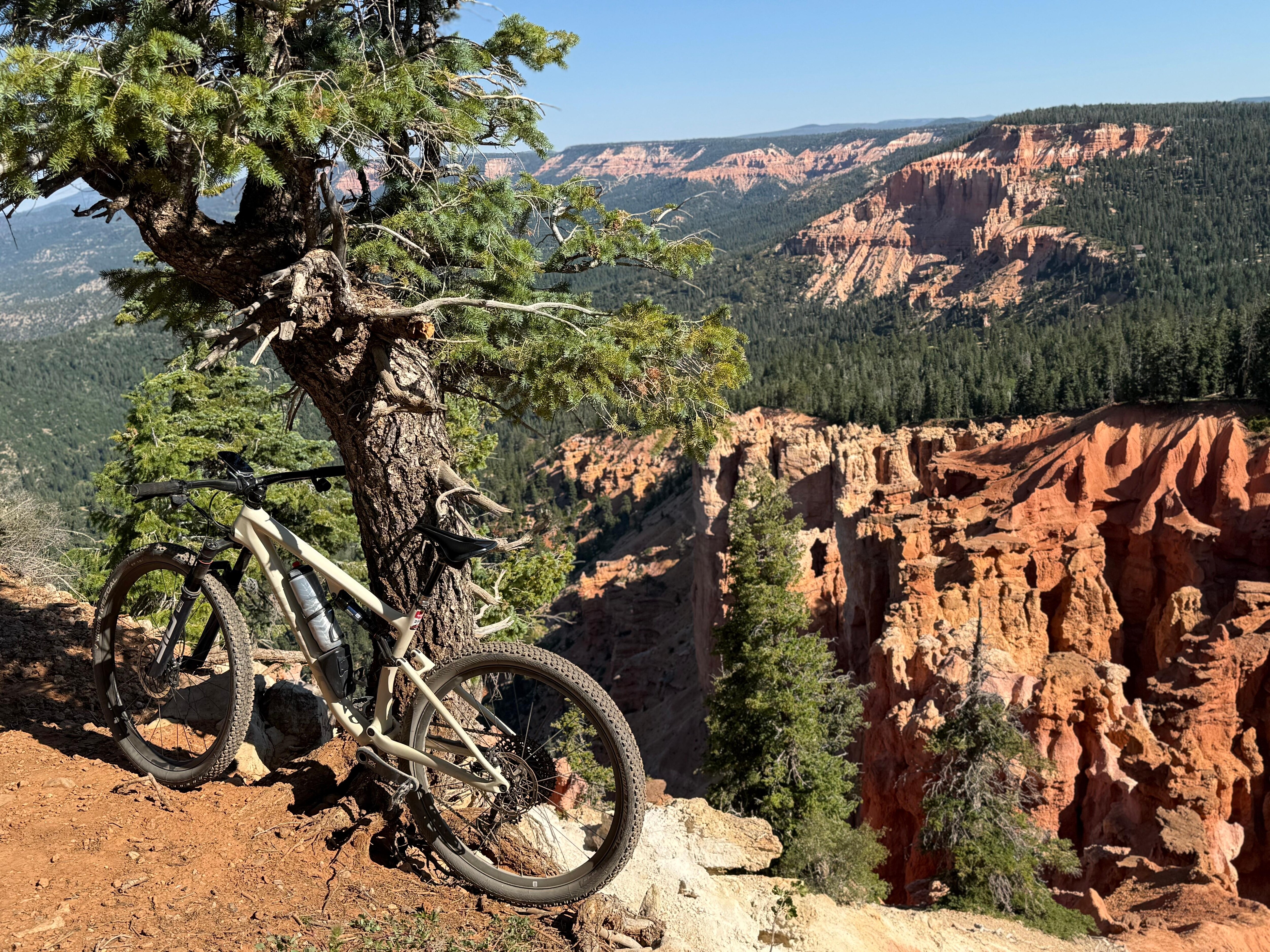 MTB trails 