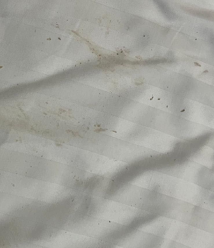 Some of the Blood and other stains on bedding 