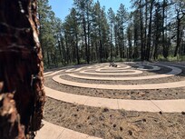 the labyrinth buried in the woods along the trail