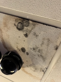 Major mold