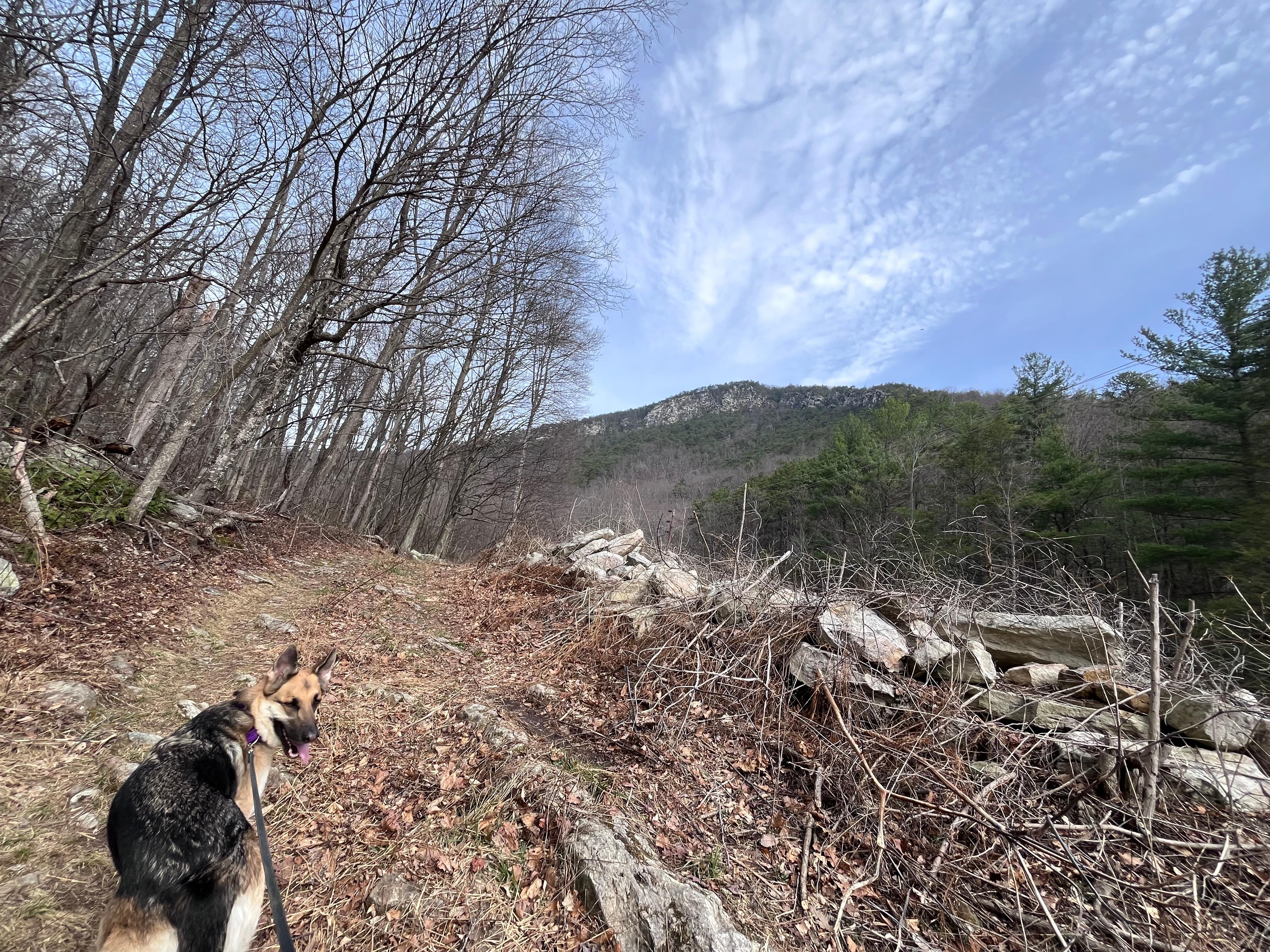 The hike just off the property 