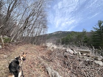 The hike just off the property