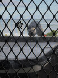 Homeless person next to hot tub