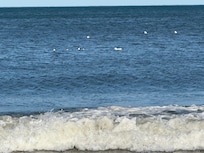 Crashing waves