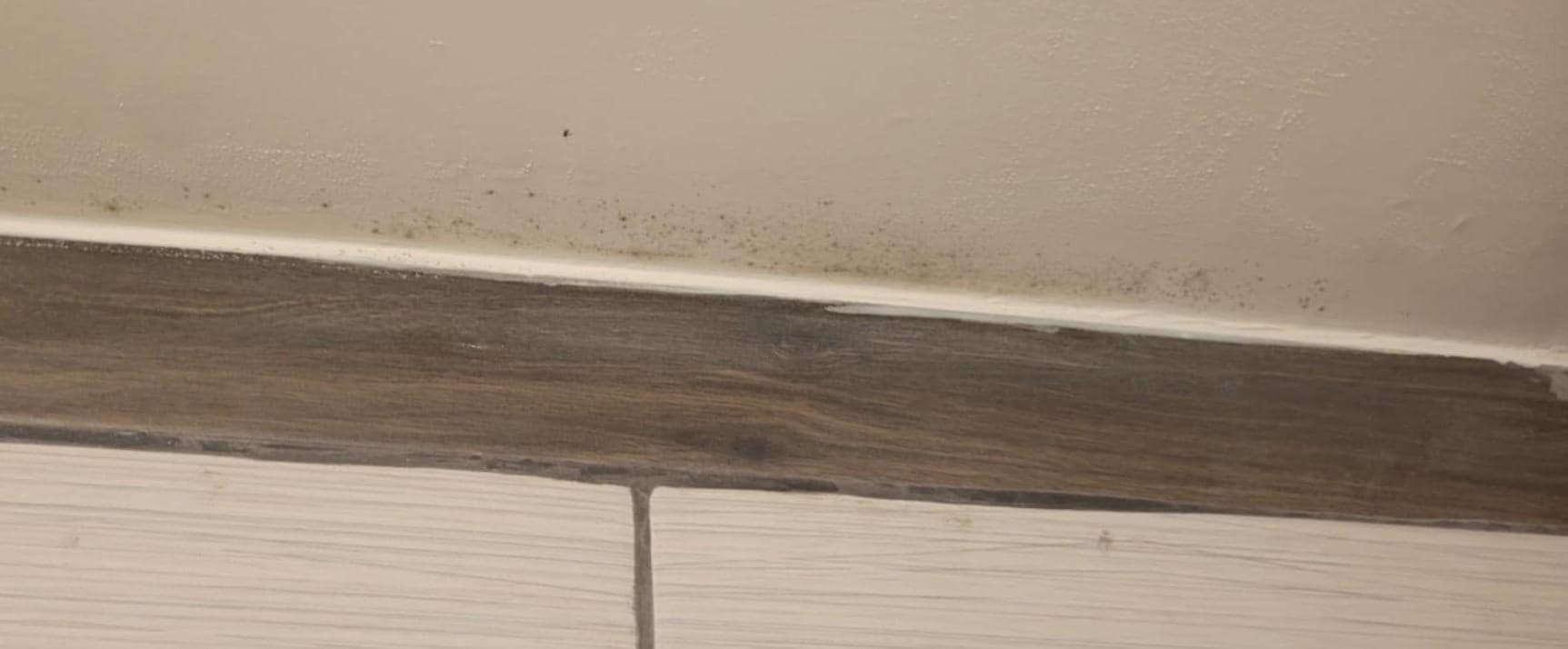 Mold above shower, zoom in to see