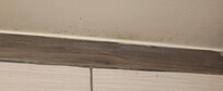 Mold above shower, zoom in to see