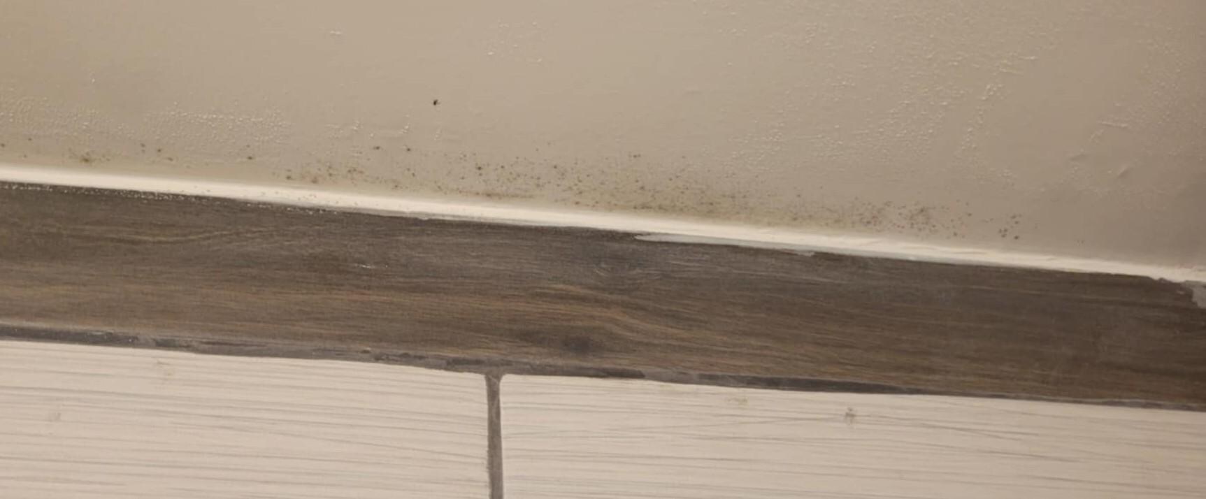 Mold above shower, zoom in to see