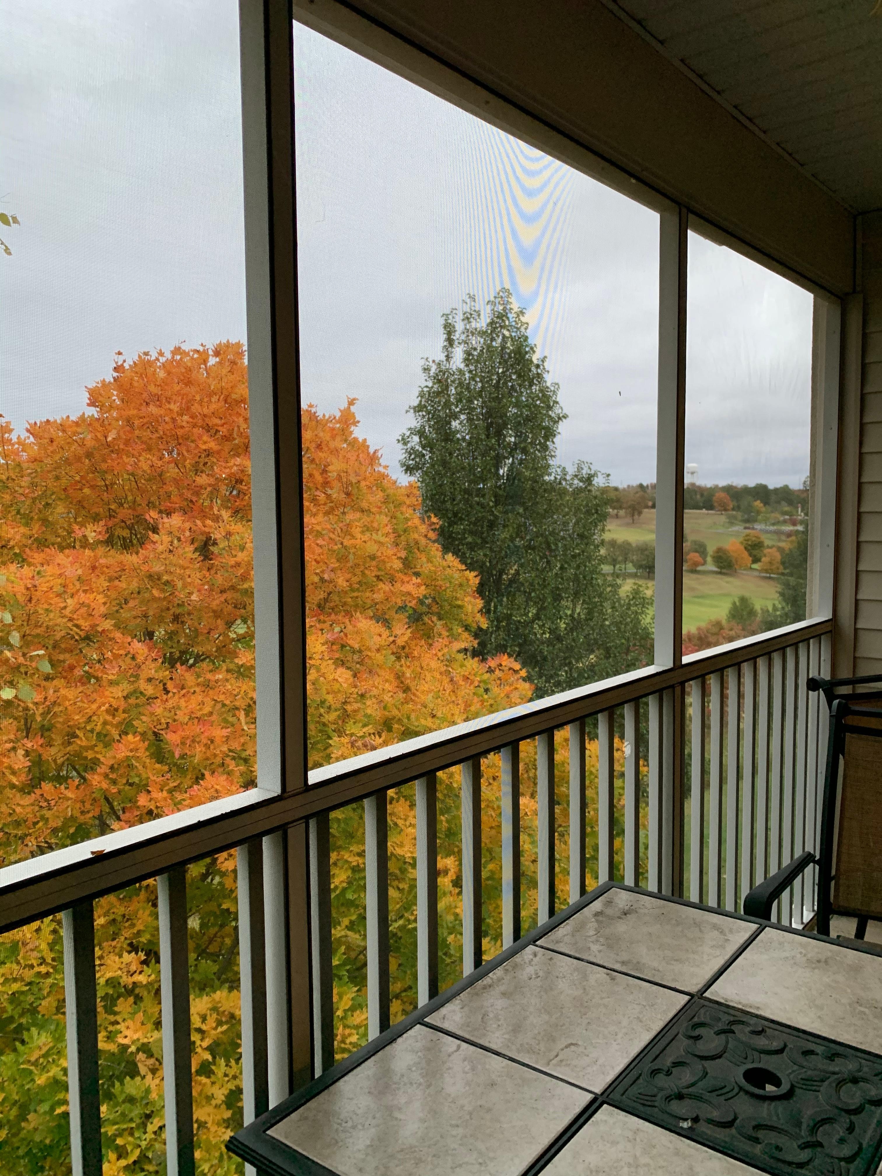 Patio view 