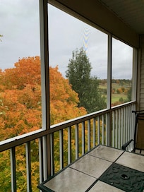 Patio view