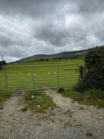 Adjacent field