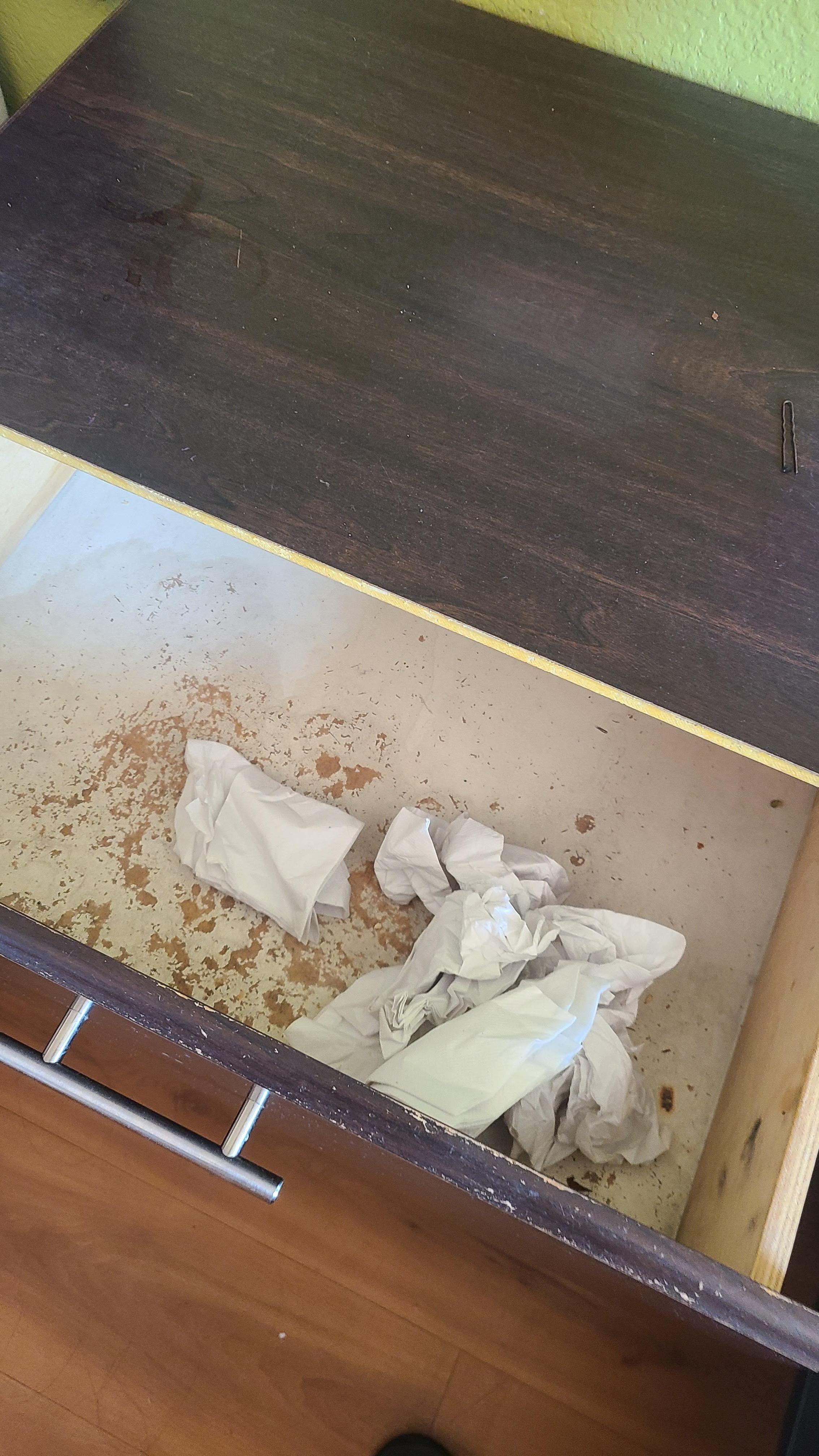 Trash left on drawers