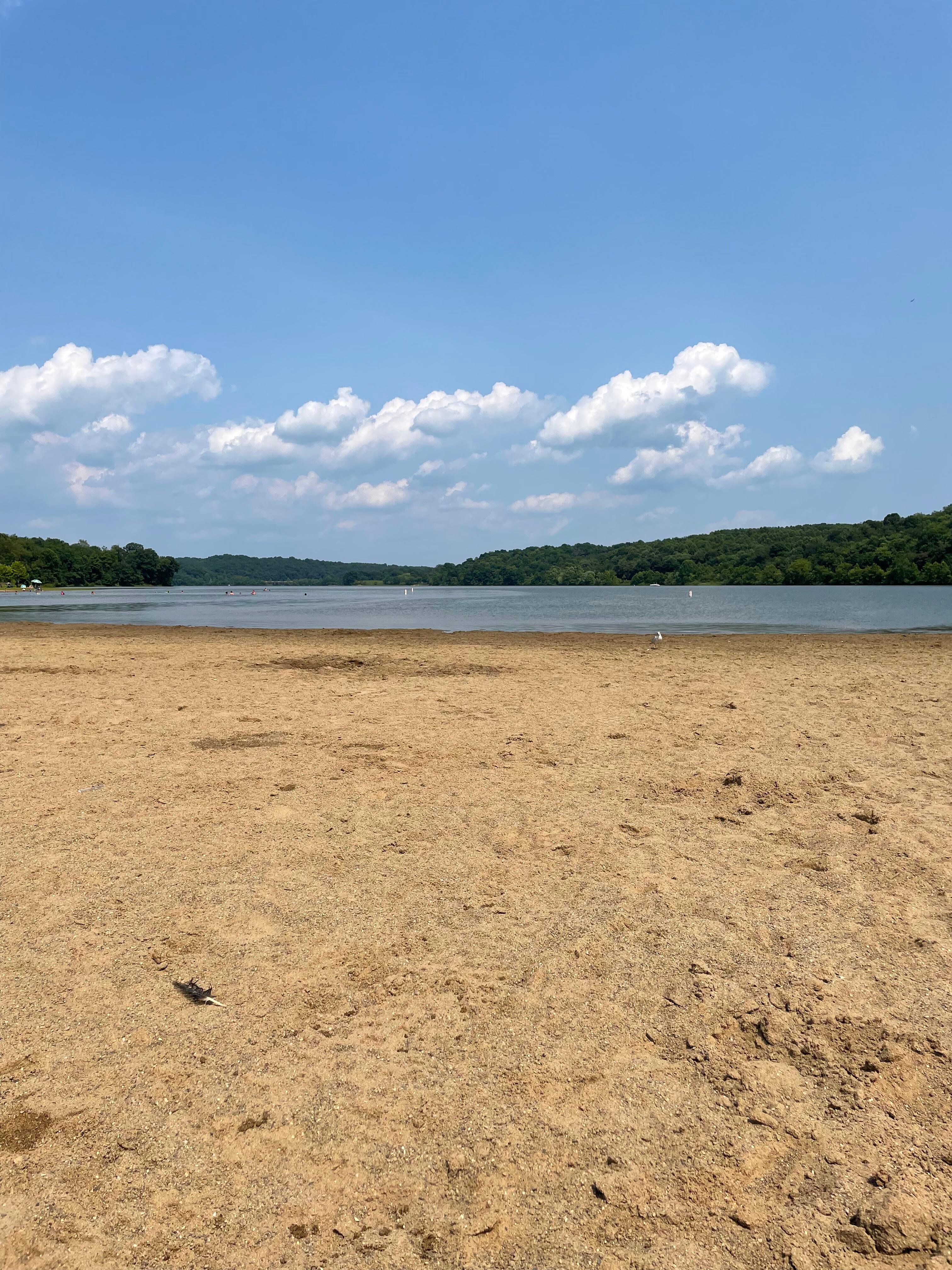 Salt Fork Beach