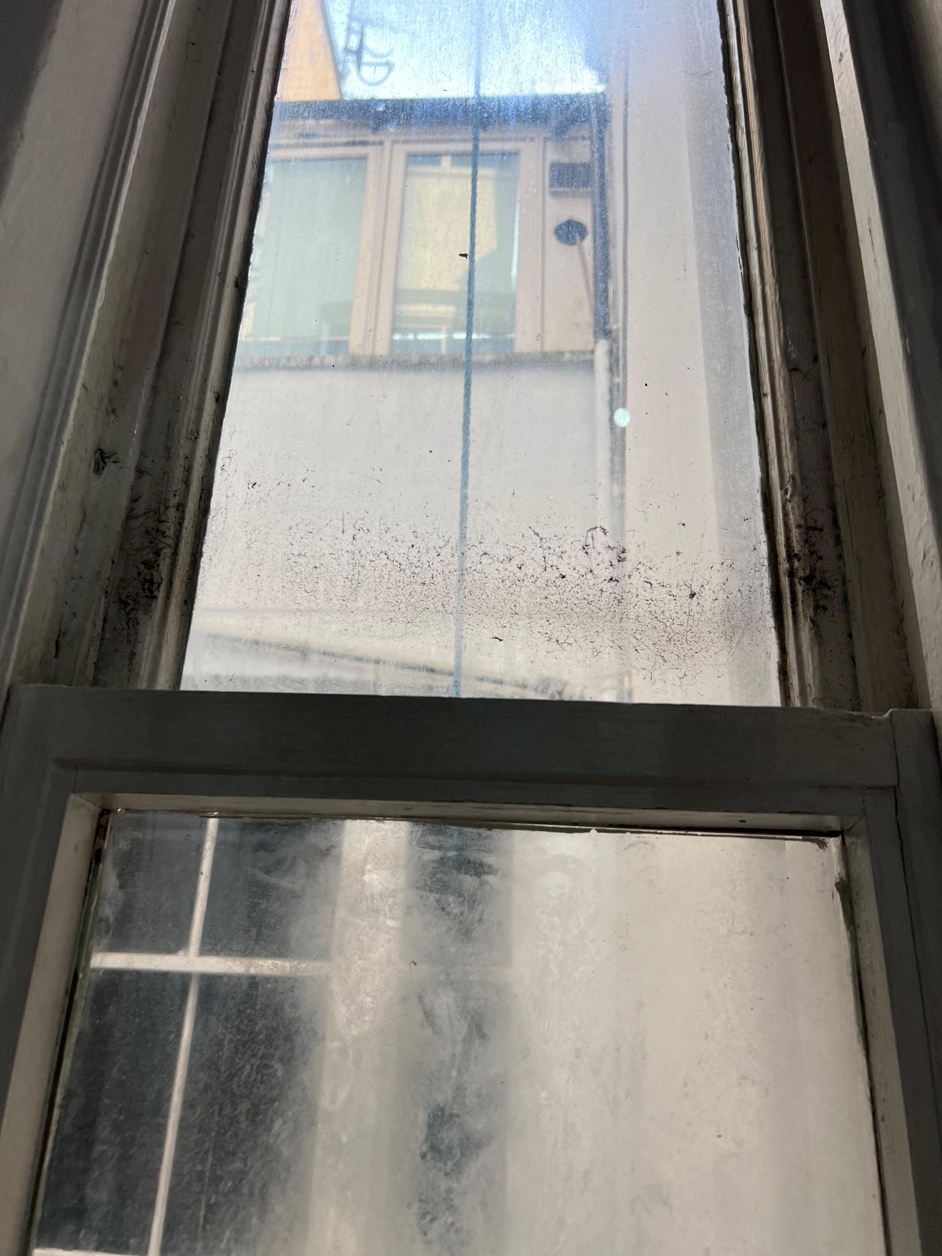 Filthy window