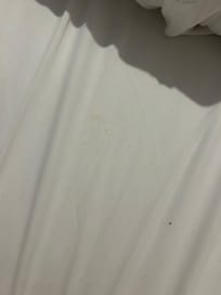 Food stains on “fresh” bedsheets