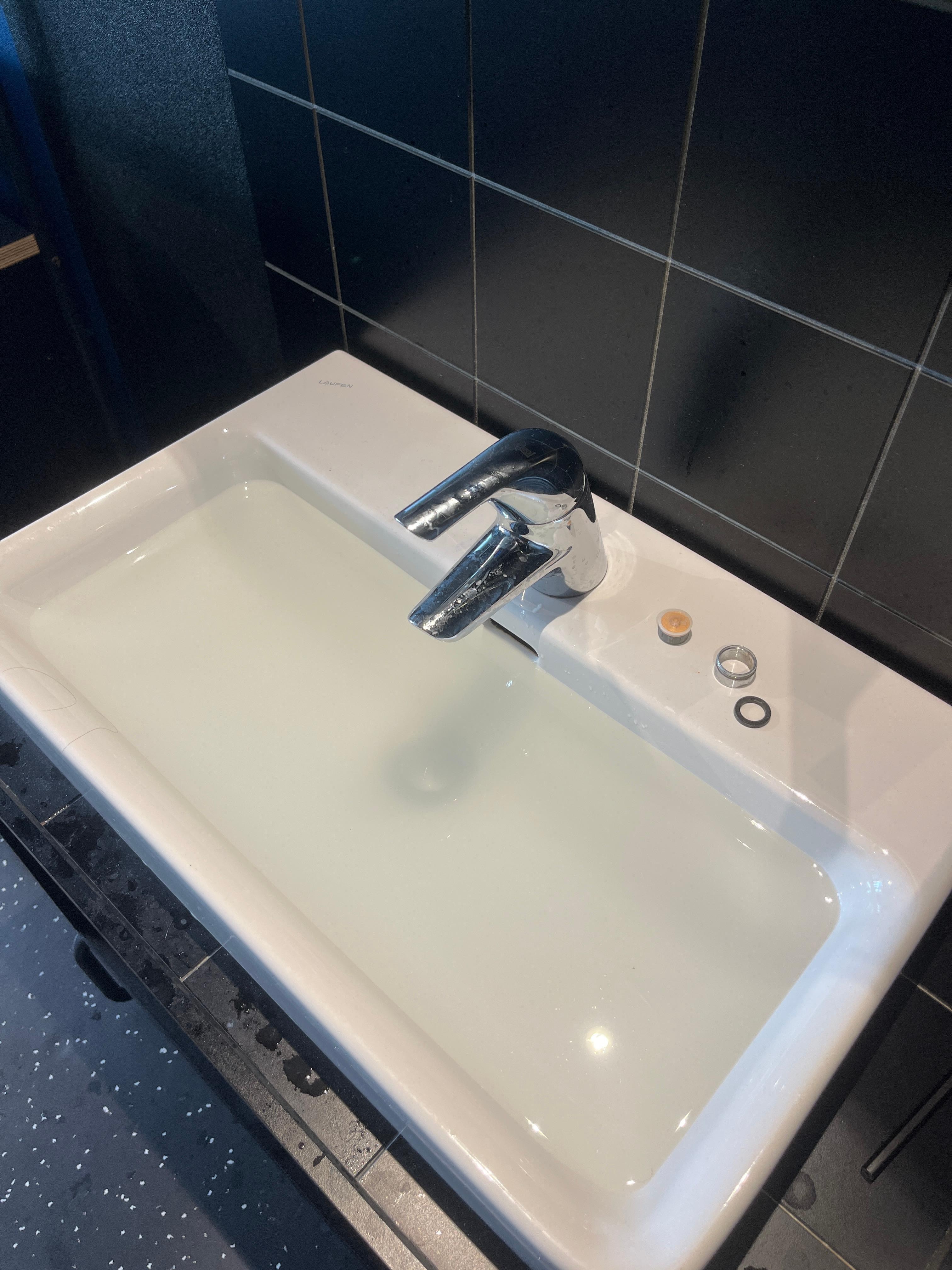 The clogged sink and the filter that fell out.