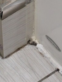 Mildew on bathroom floor