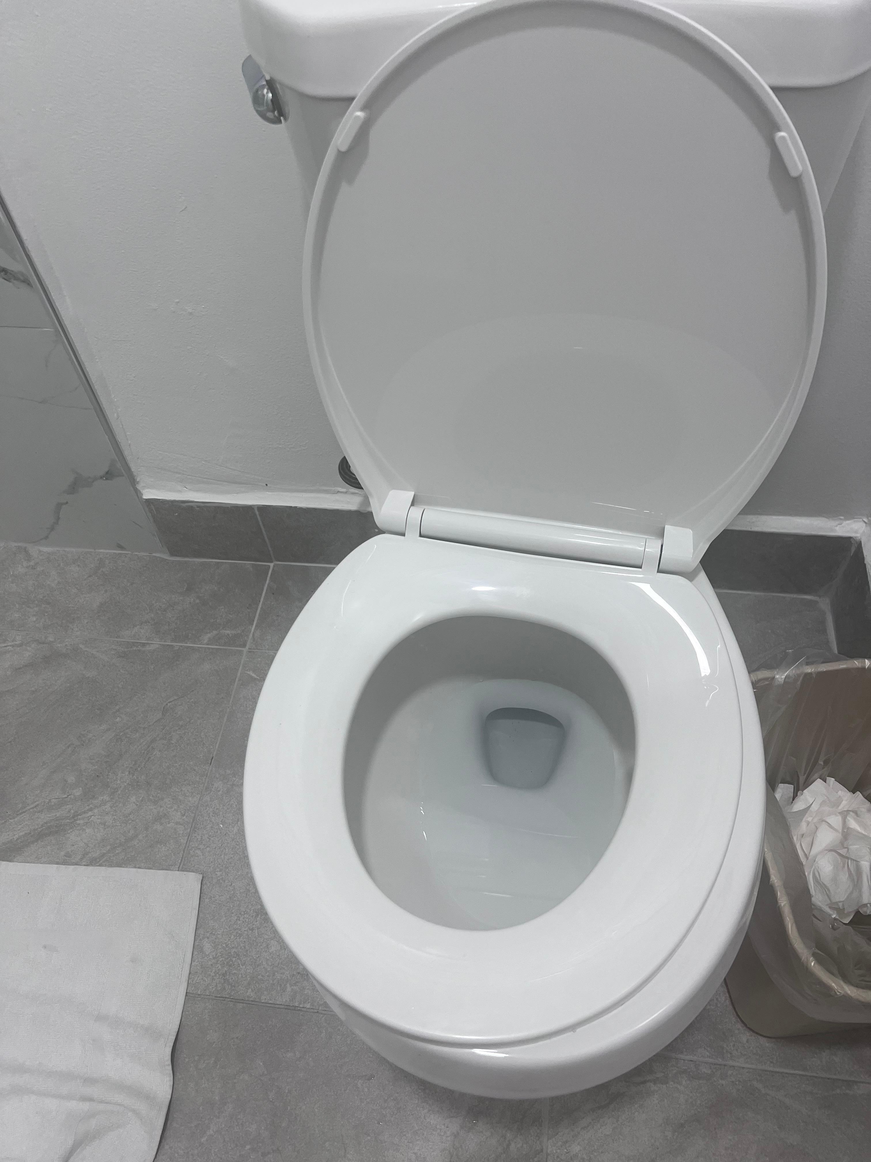The toilet had a strand of hair when we got there and the seat was loose.