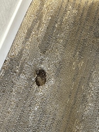 Hole in the carpets