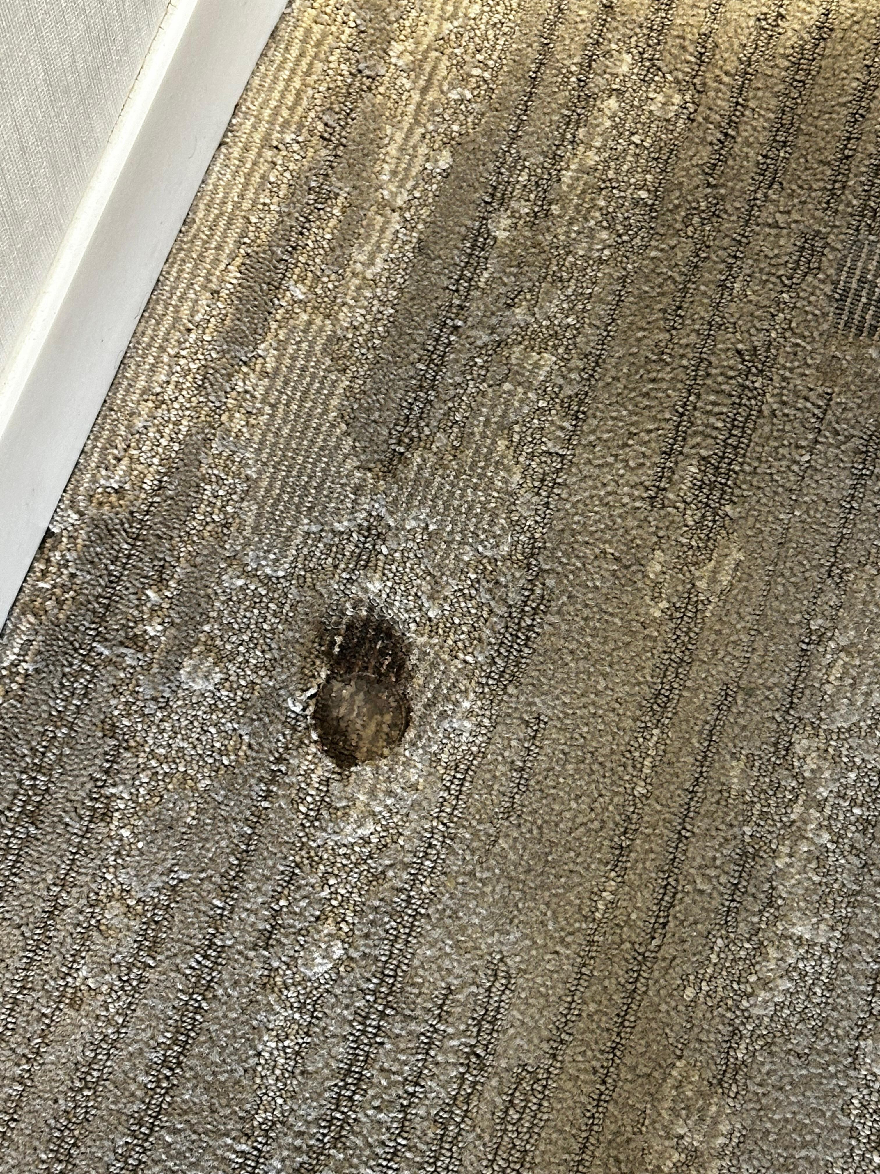 Hole in the carpets
