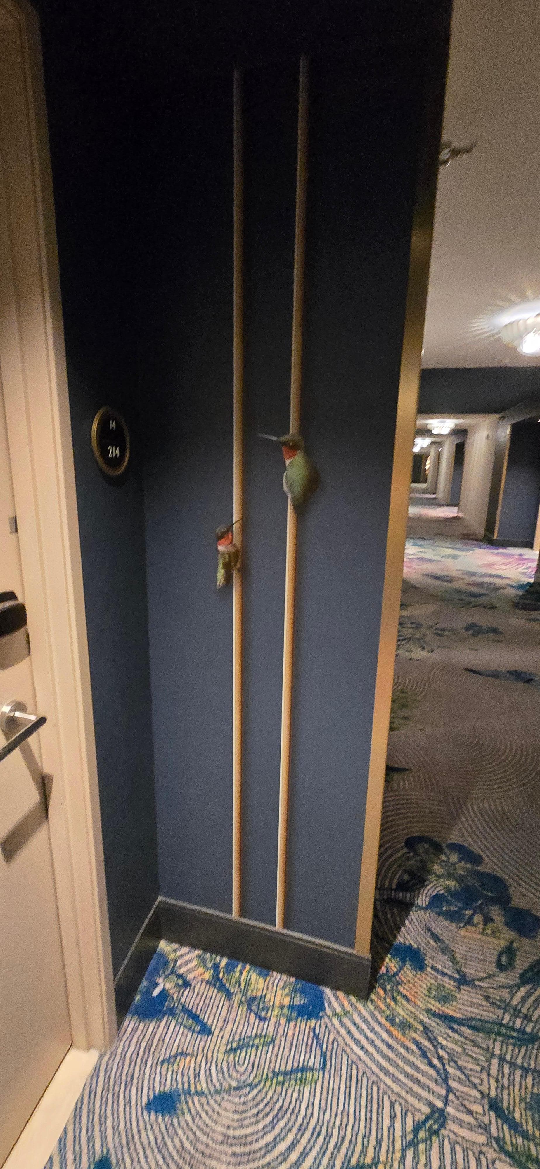 Cute wallpaper outside room