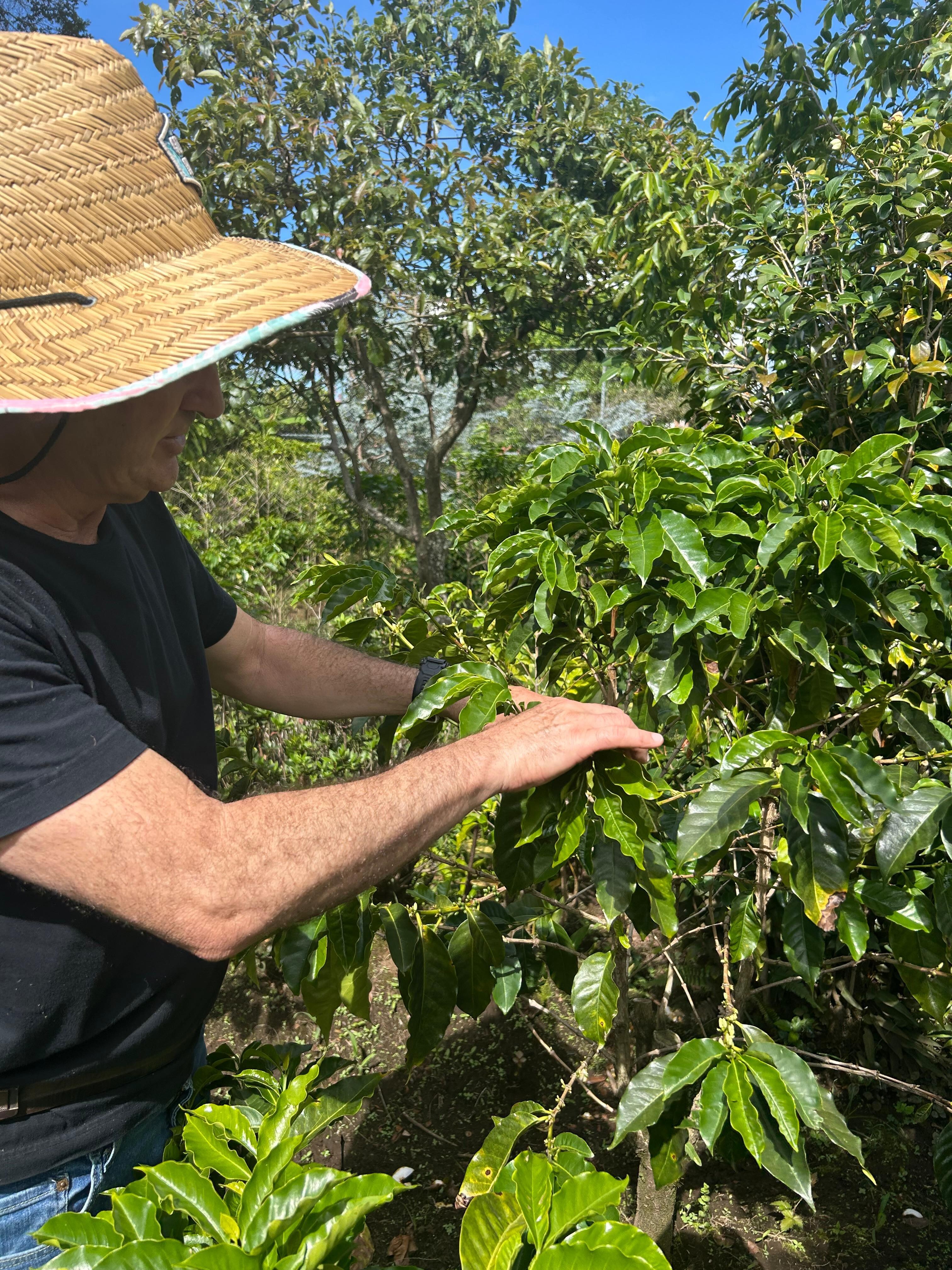 Eduardo sharing some farming secrets
