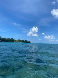 Kayak was amazing to do in lagoon
