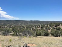 The arroyo trail behind the property.