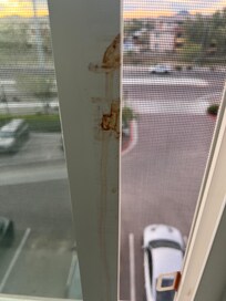 There were what appeared to be bloody fingerprints on the window frame.