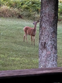 Off the front porch