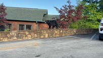 This bear was heading to the dumpsters. He was huge!