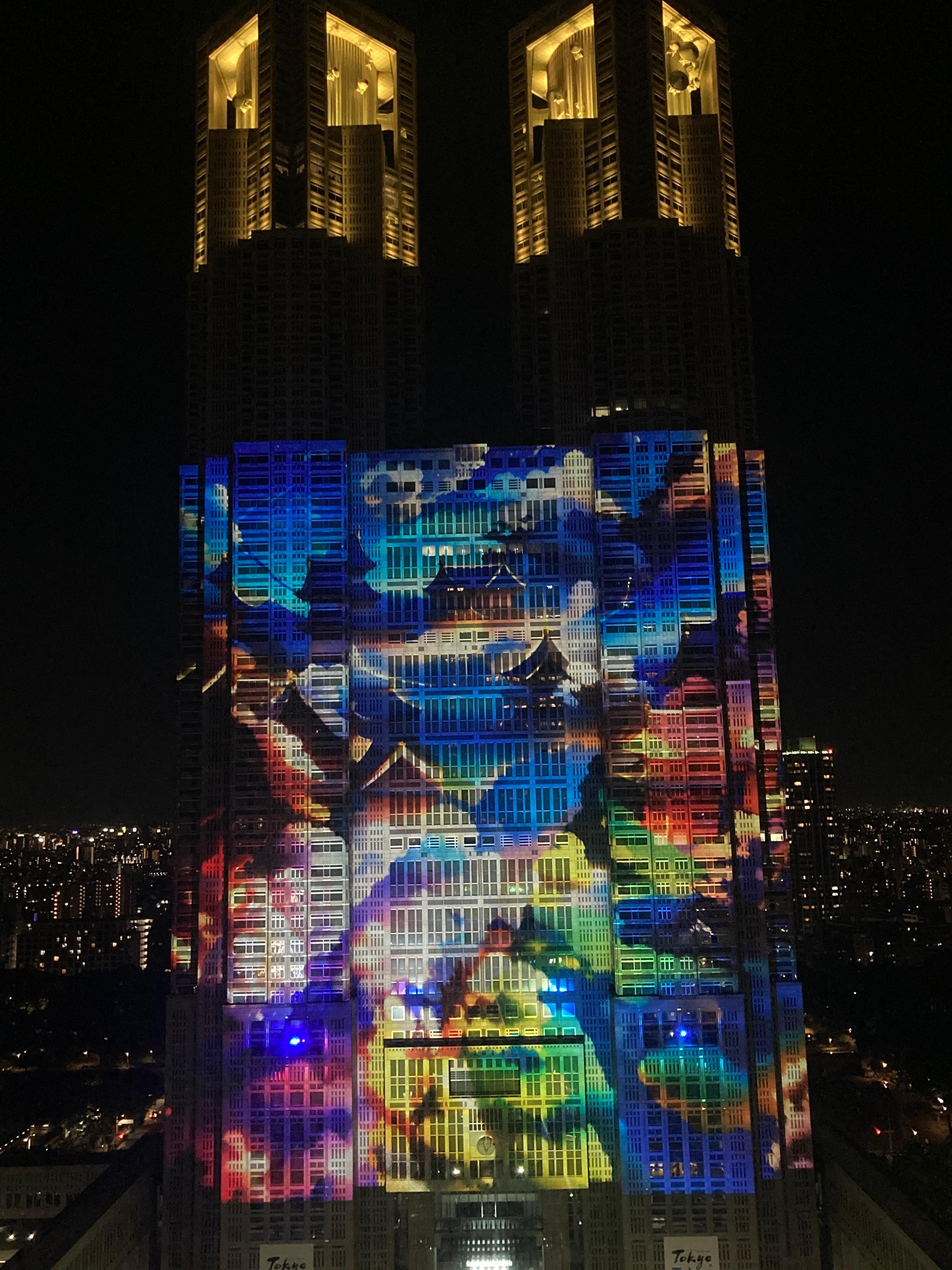 Night and Light Show  