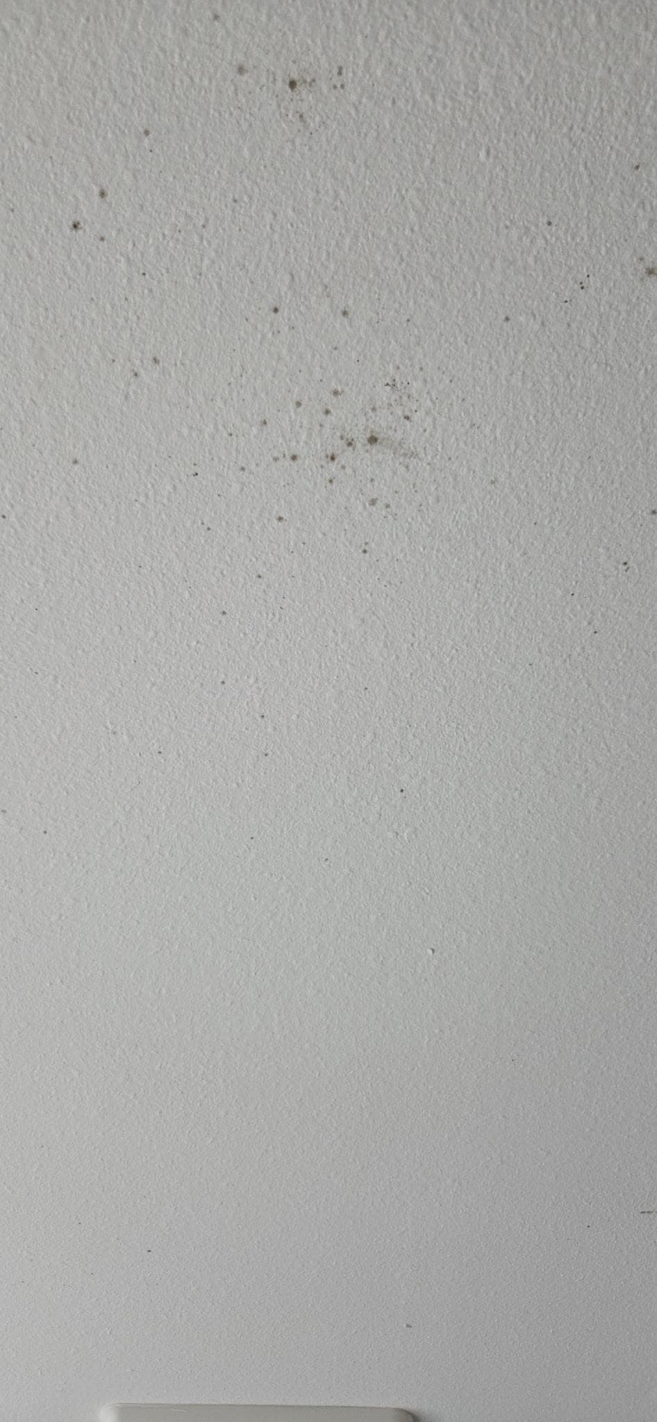 Mold in bathroom